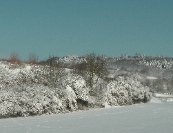 Winter-Herrschaftswald